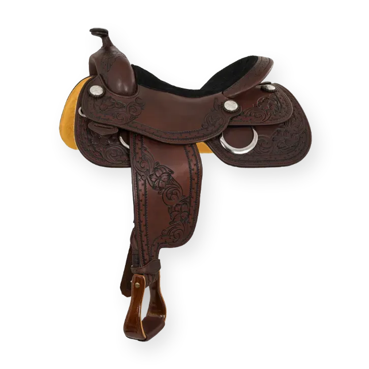 DP Equitation Trainer – vollständige Ansicht