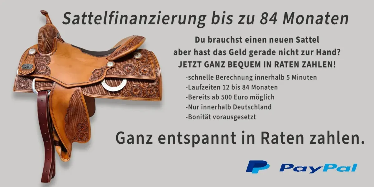 Finanzierungsinformationen der Saddleworld-Originalwebsite